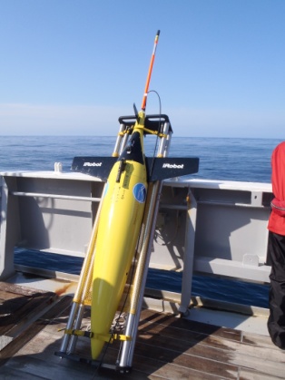 Seaglider Seaglider