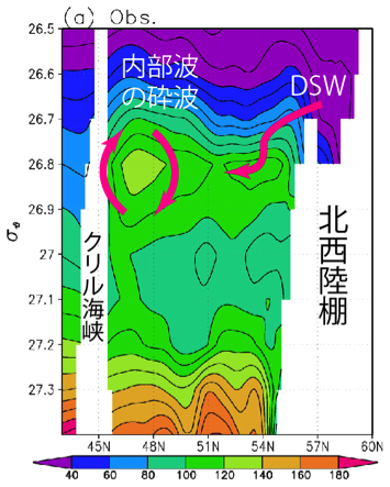 オホーツク海中層水断面図