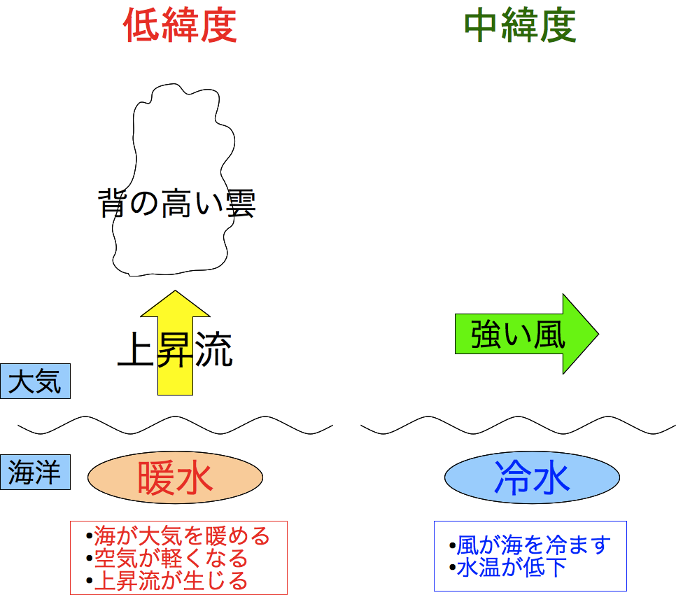 海面水温と大気